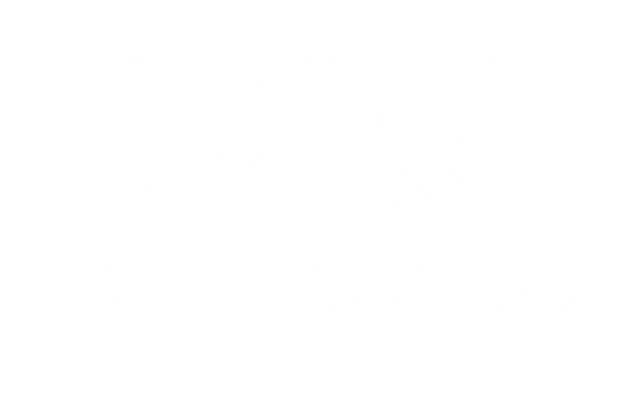 Brush